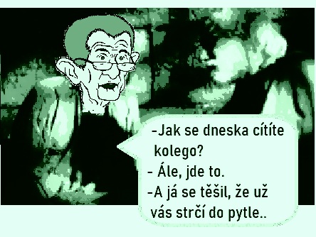 koláž: dv